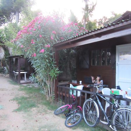 Bungalows Club Aire Libre Tossa de Mar Eksteriør billede