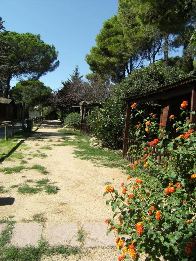 Bungalows Club Aire Libre Tossa de Mar Eksteriør billede